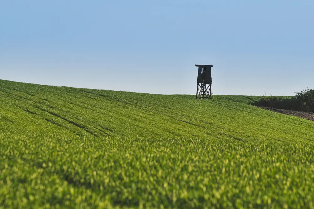 hunt plots for deer hunting