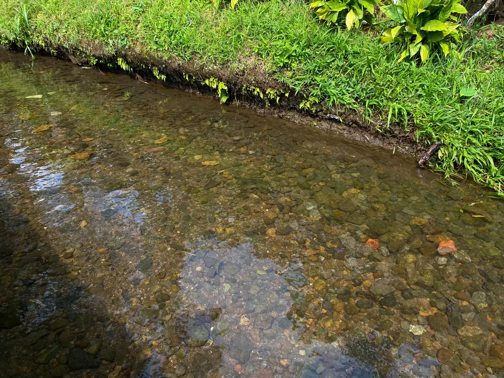 Two C's of Hardwater Fishing