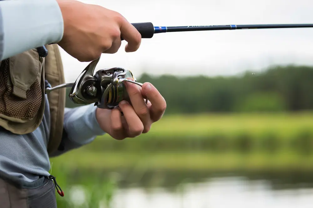 Proper Fishing Drag Settings