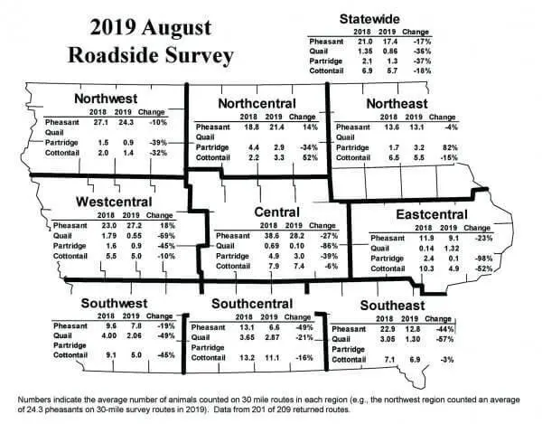 2019 Roadside Survey