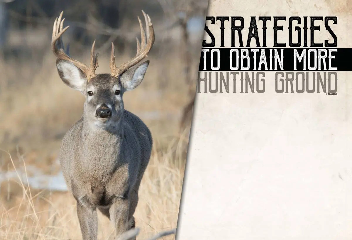 Strategies to Obtain more Hunting Ground