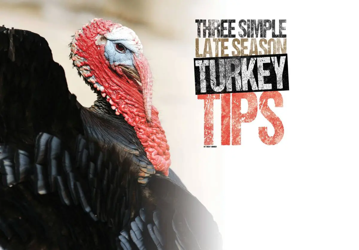 Three Late Season Turkey Hunting Tips