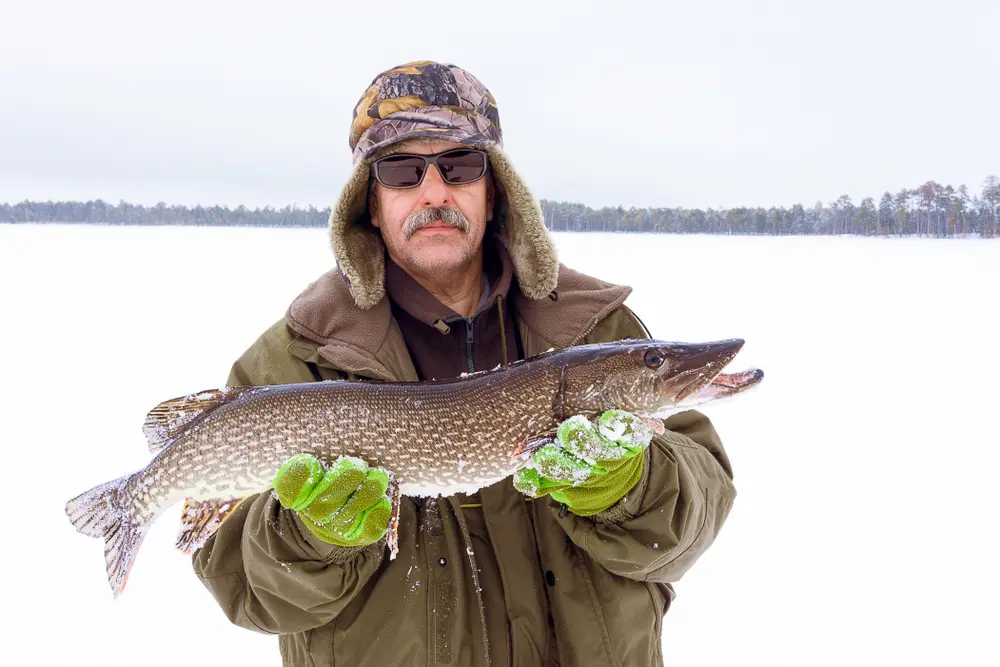 Northern Pike Iowa Great Lakes