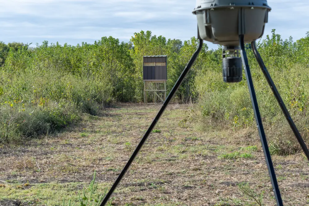 Choosing a Hunting Lease