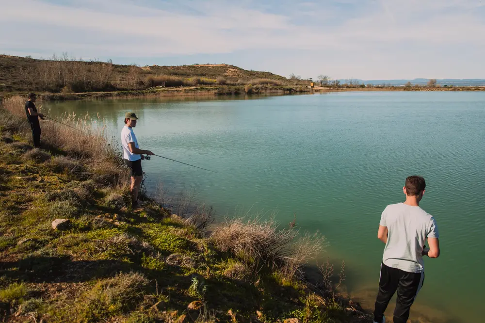 Tactics for Pressured Fish