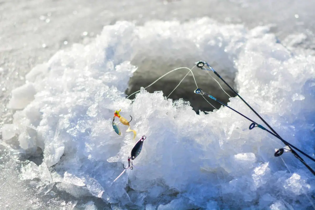 Catching Fish Through The Ice
