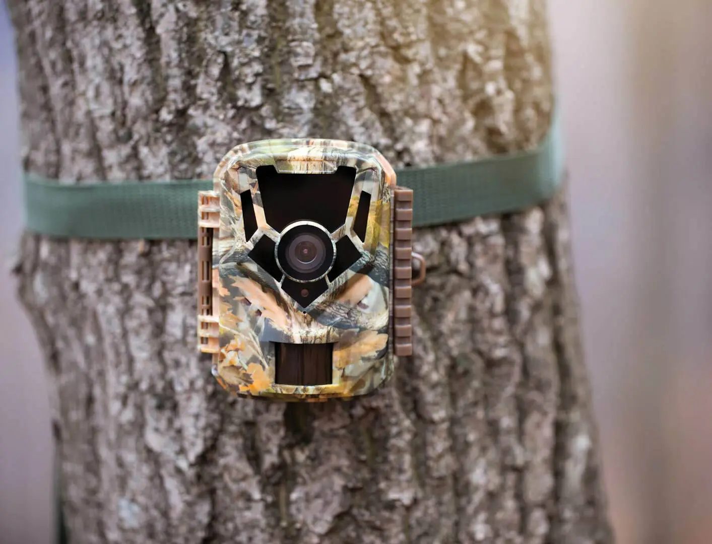 Is Trail Camera Technology Ethical