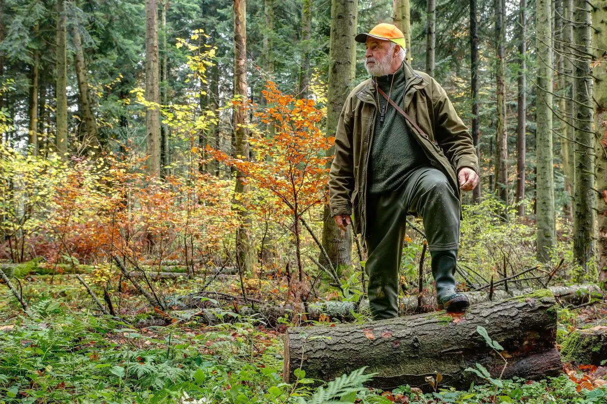 Finding Public Land for Deer Hunting