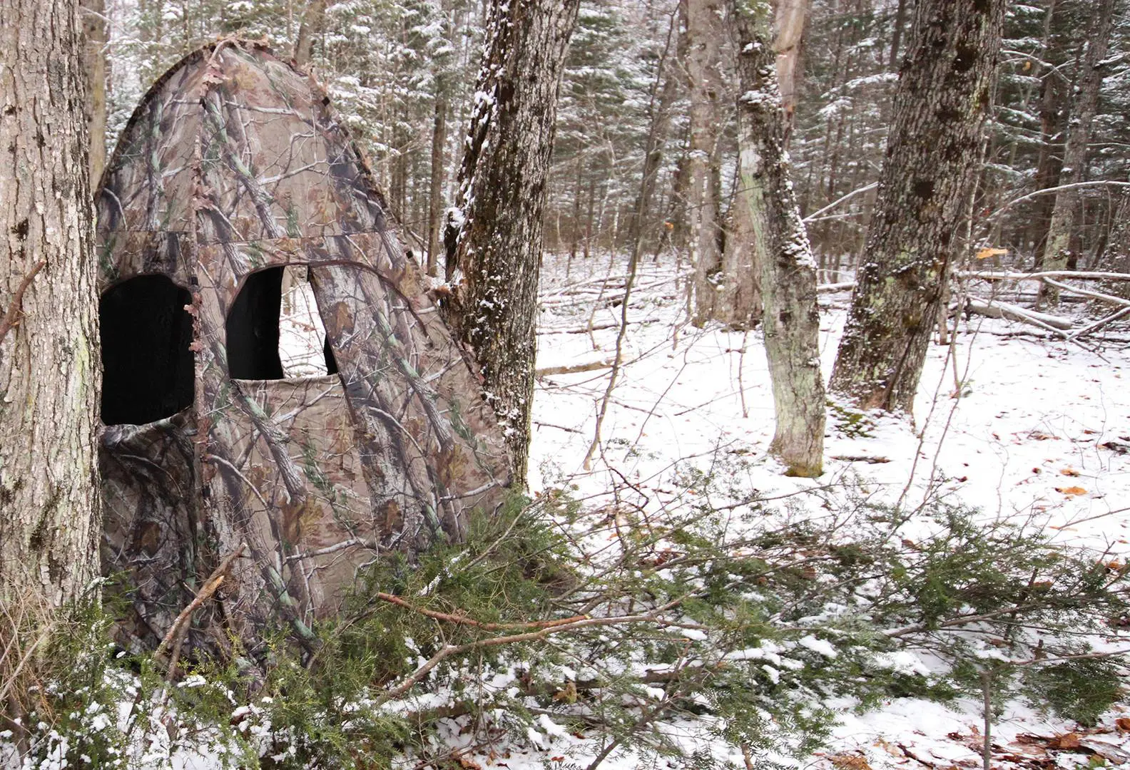 Finding the Perfect Hunting Blind