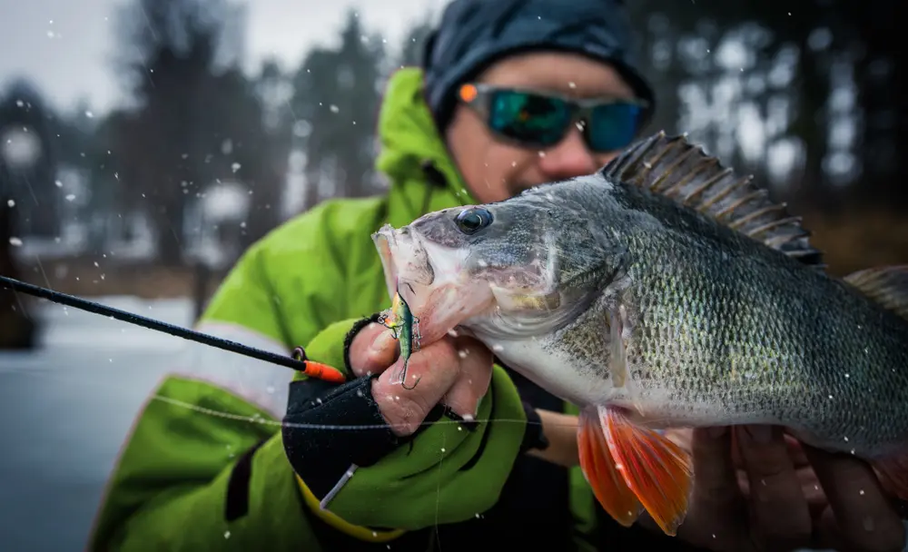 Late Season Ice Fishing Tips