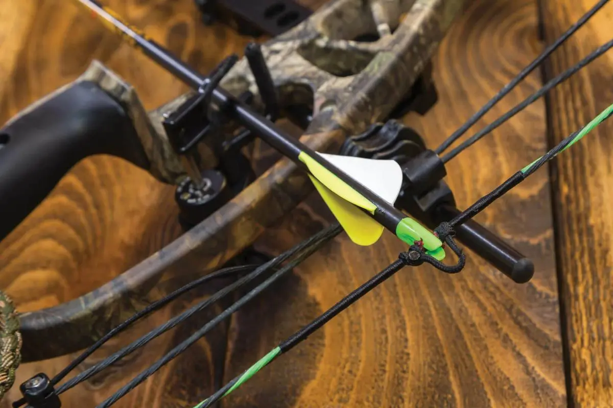 The Value of Local Archery Shops
