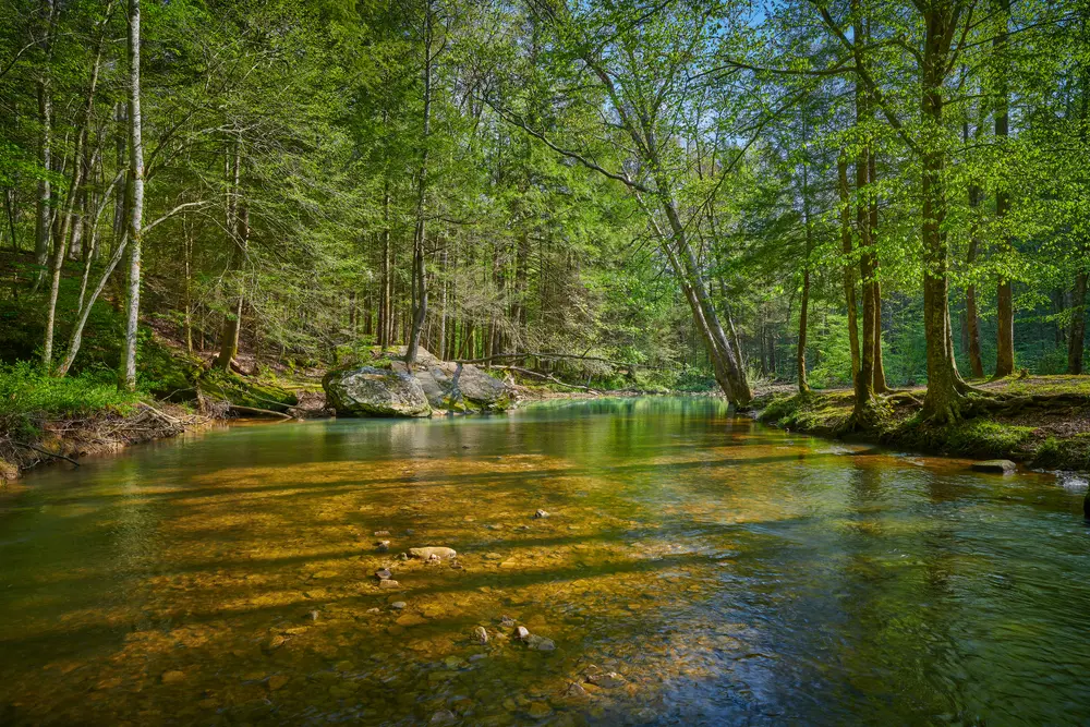 Iowa Trout Streams