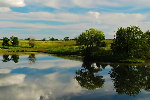 How to Revitalize a Pond Farm Ponds at their Finest