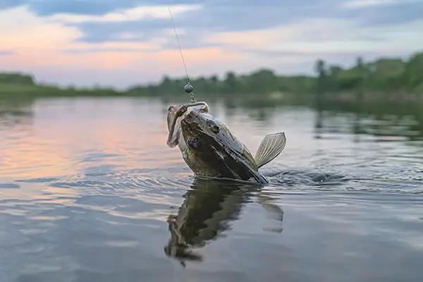Fishing Iowa in March