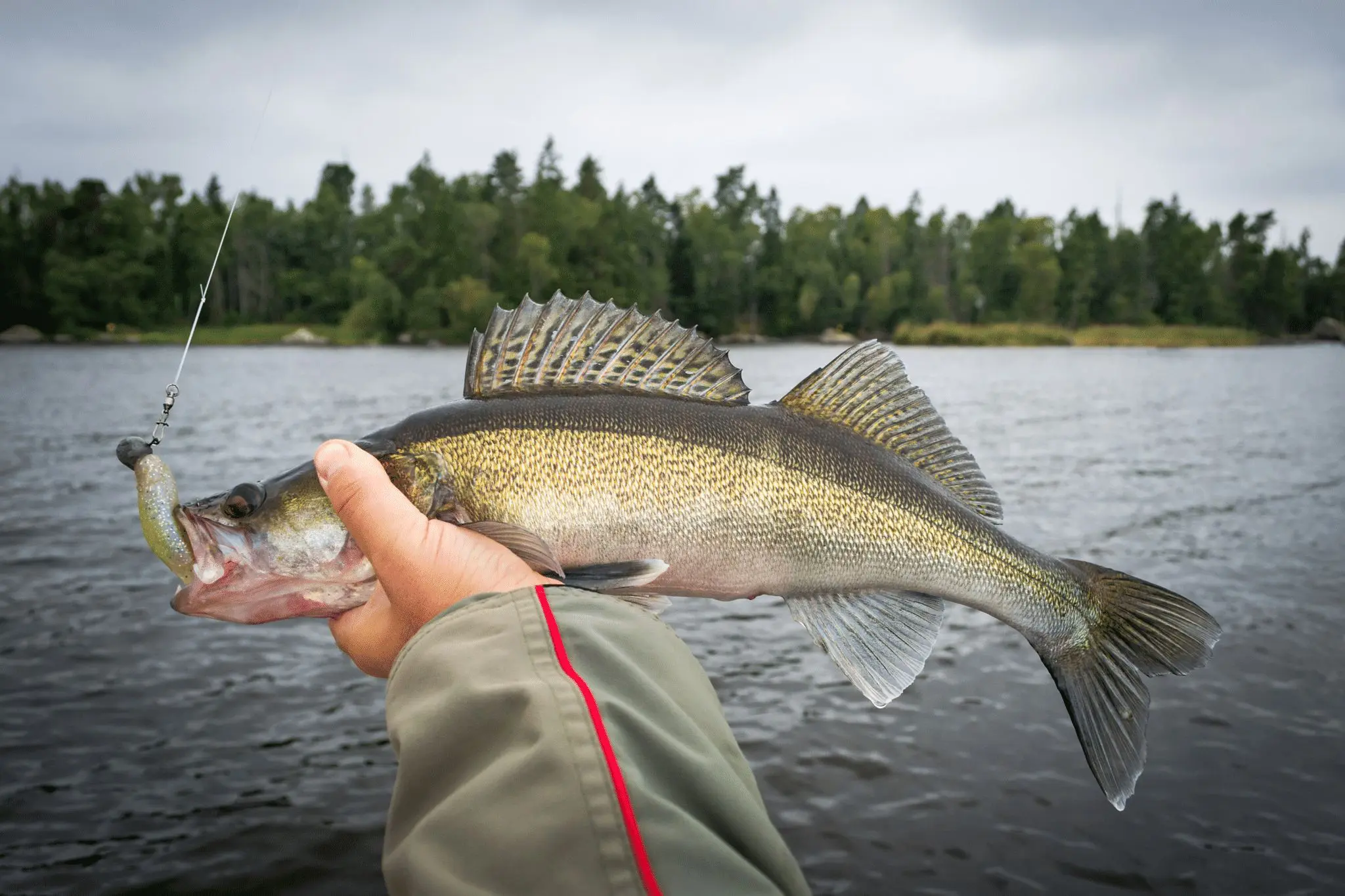 Open Water Fishing in March