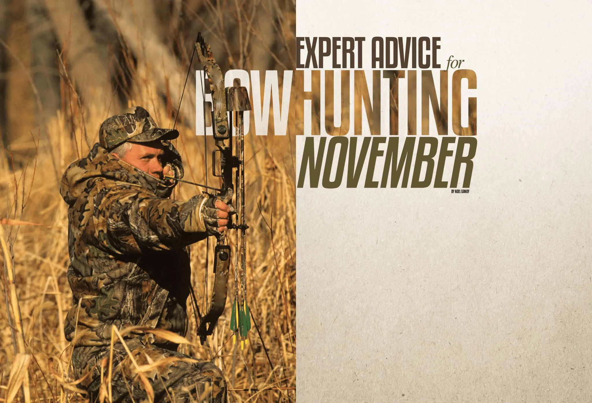 Expert Advice for Bowhunting November