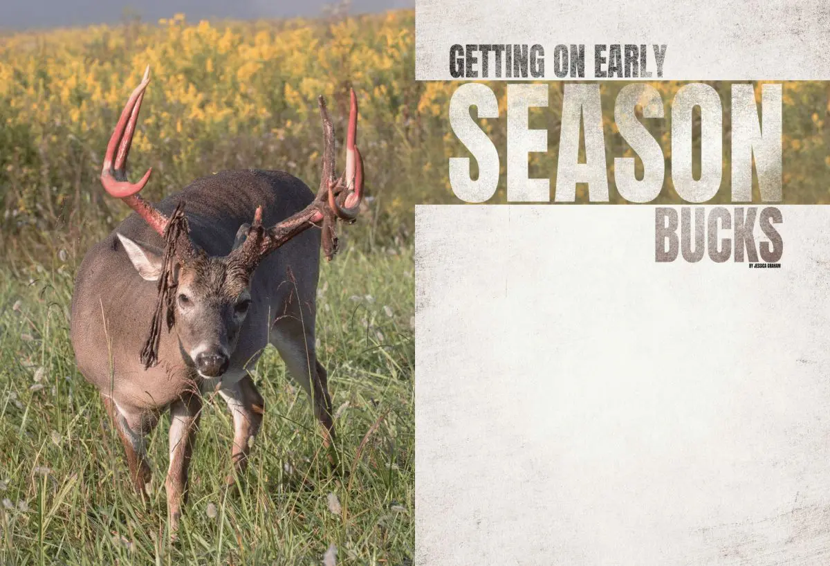 Getting on Early Season Bucks