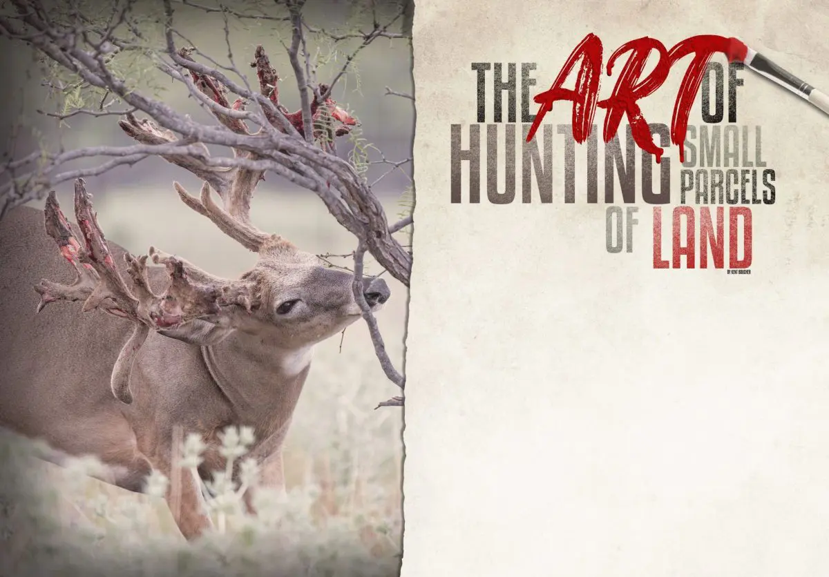 The art of hunting small parcels of land