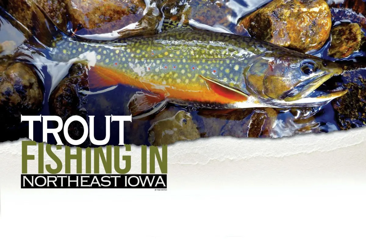 Trout Fishing in Northeast Iowa