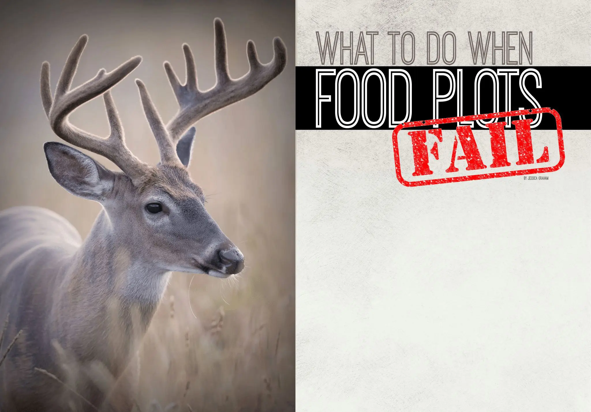What to do when food plots fail