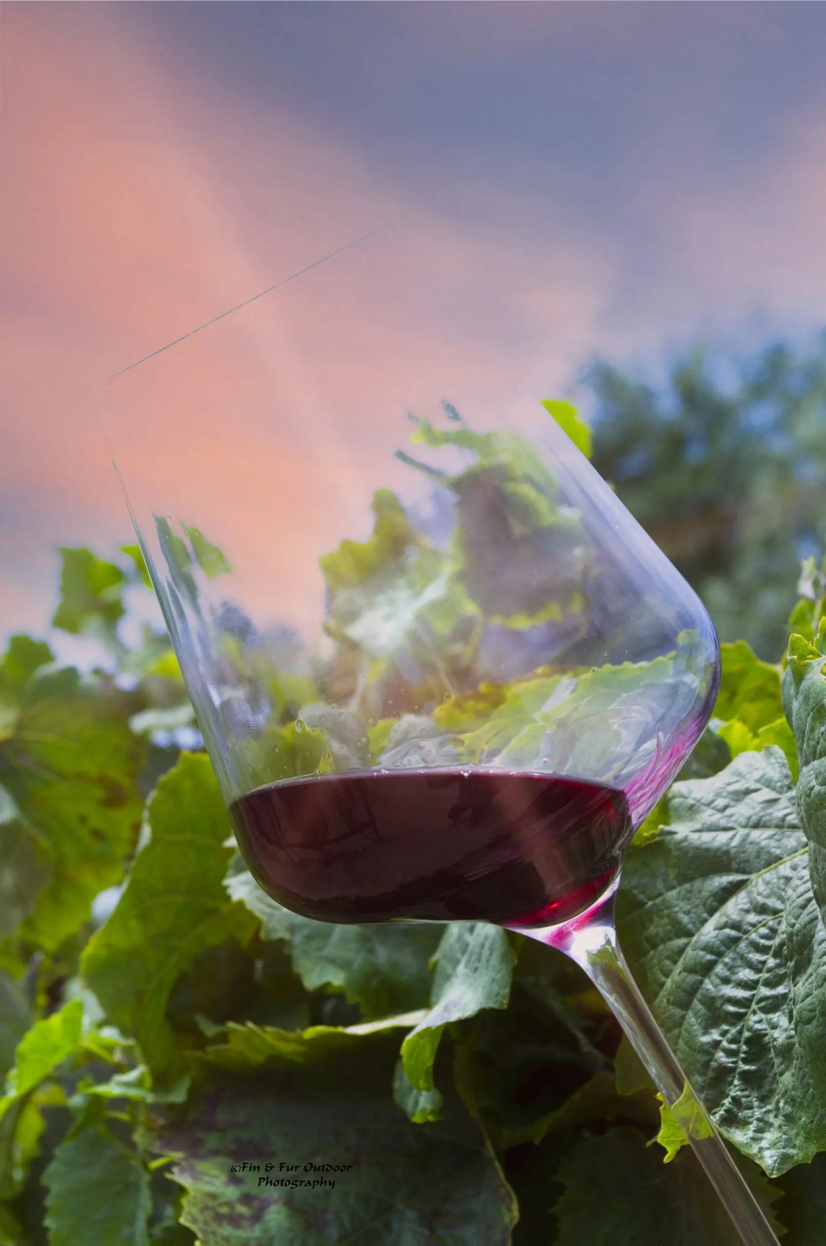IOWA’S WINERIES & BREWERIES 