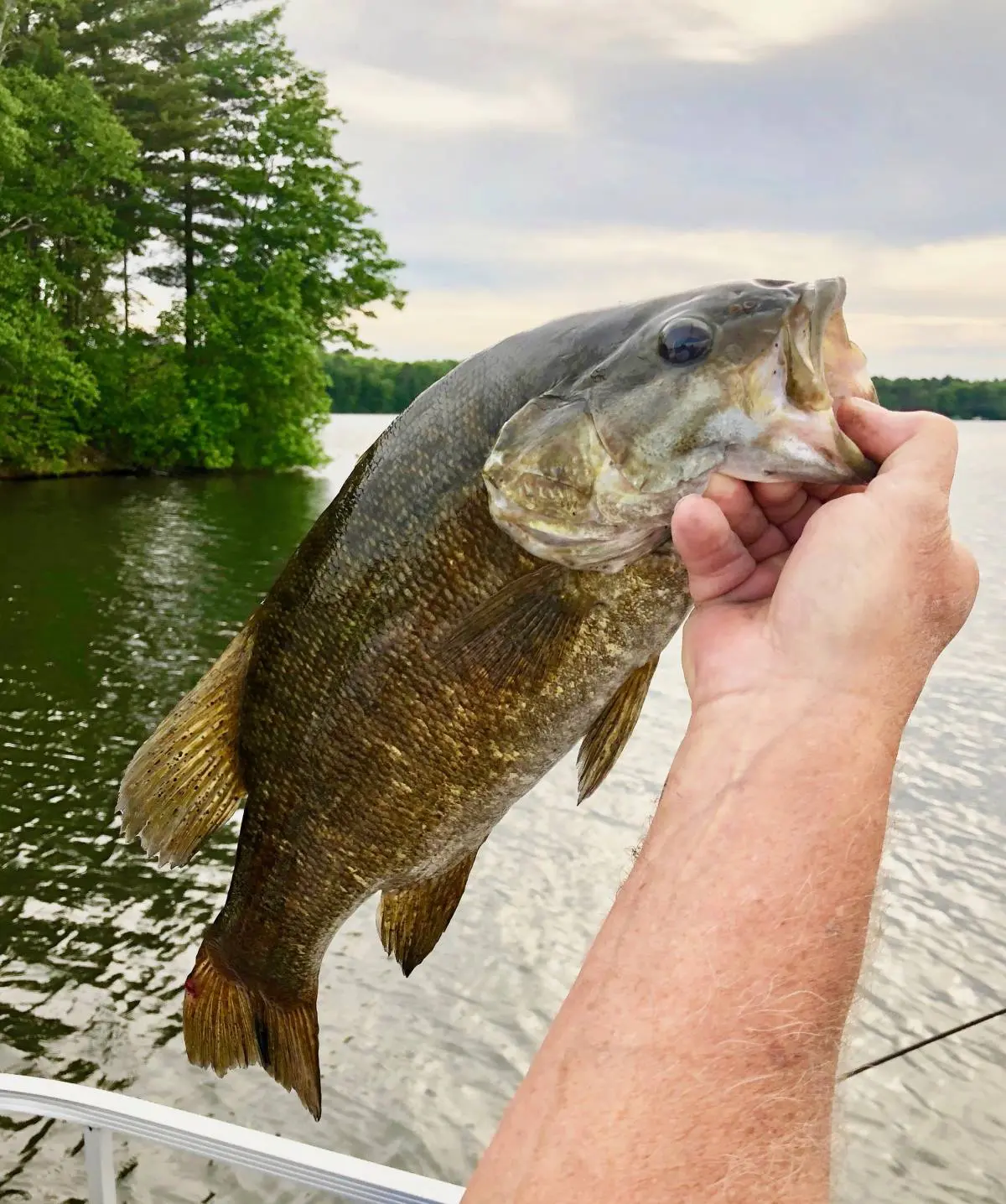 July Fishing Guide For Iowa Areas to Locate and Catch Early Spring Bass