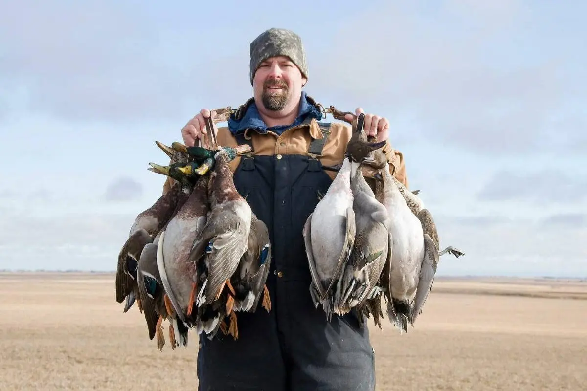 Successful Iowa Duck Hunting
