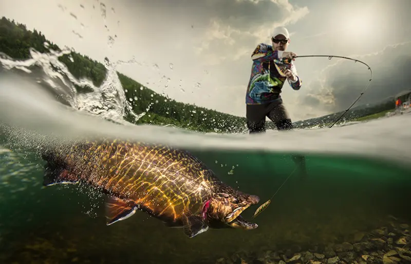 Mistakes to Avoid while Fly Fishing Trout