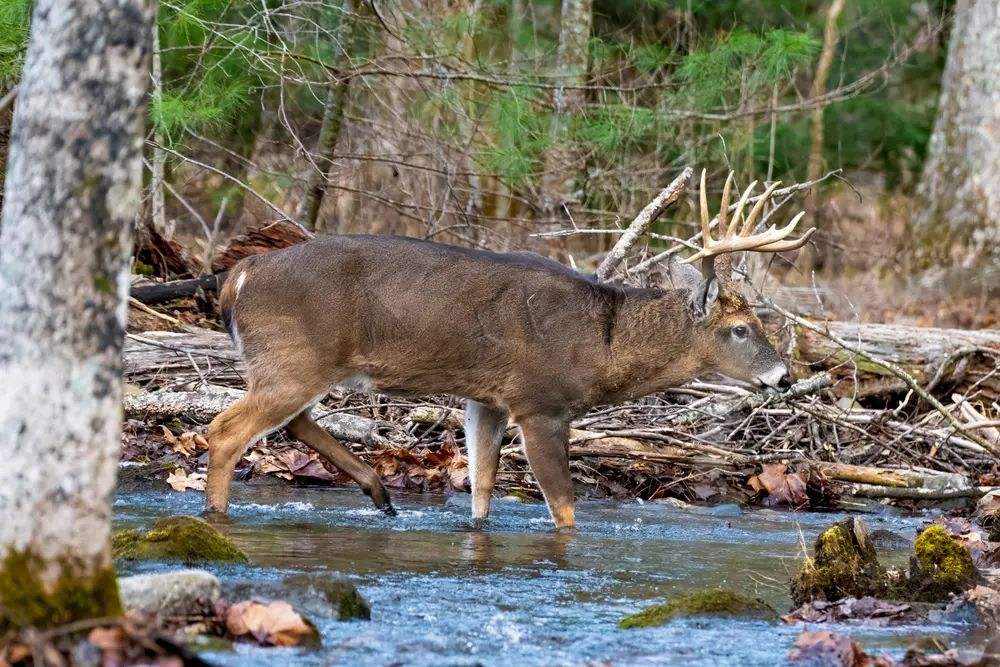 Keeping the Outdoor Legacy Alive