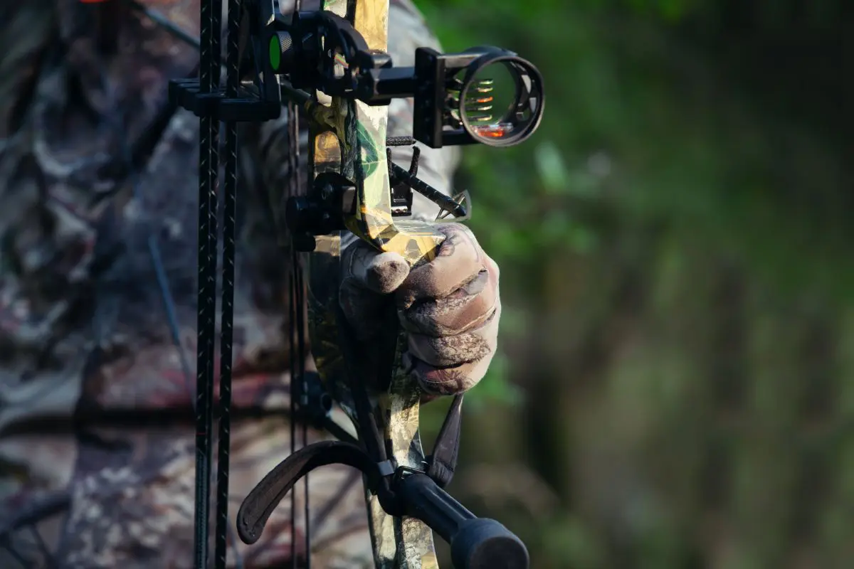Bowhunting Strategies For November