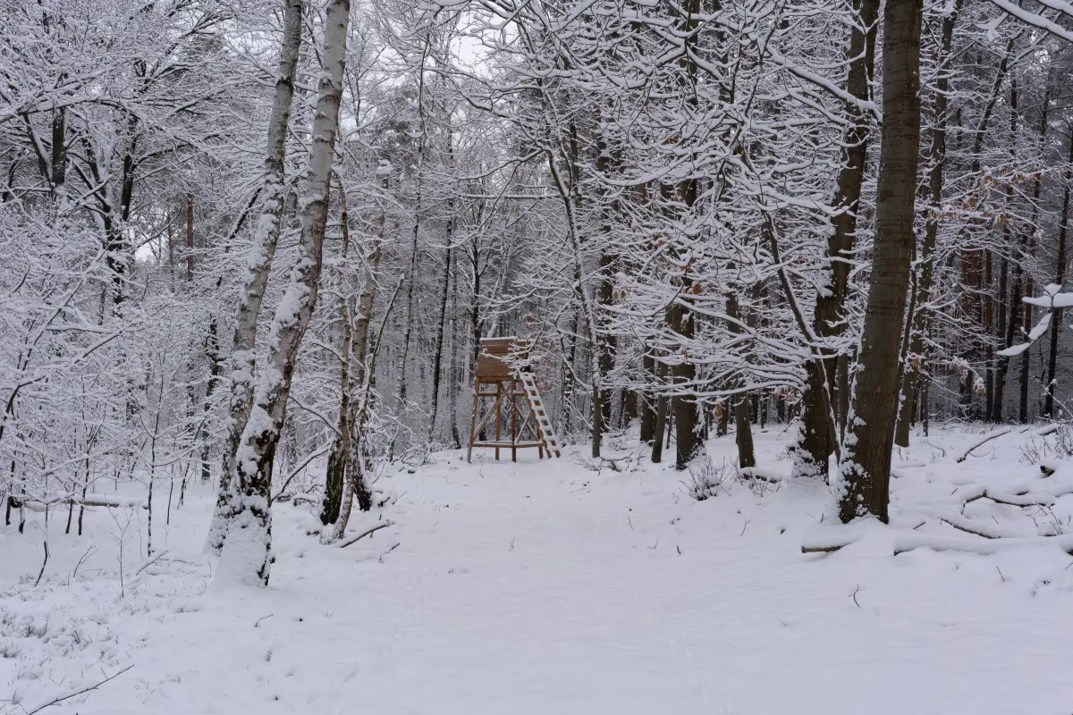Guide to Muzzleloading in Cold Temperatures