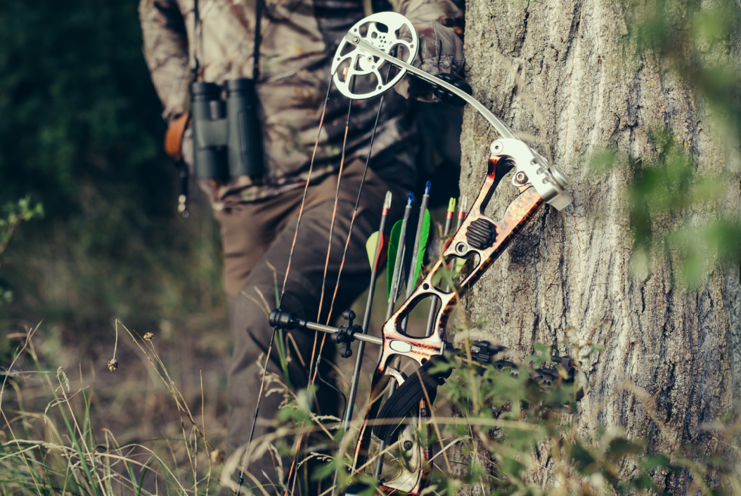 The Early Season Advantage: October Bow Hunting in Iowa