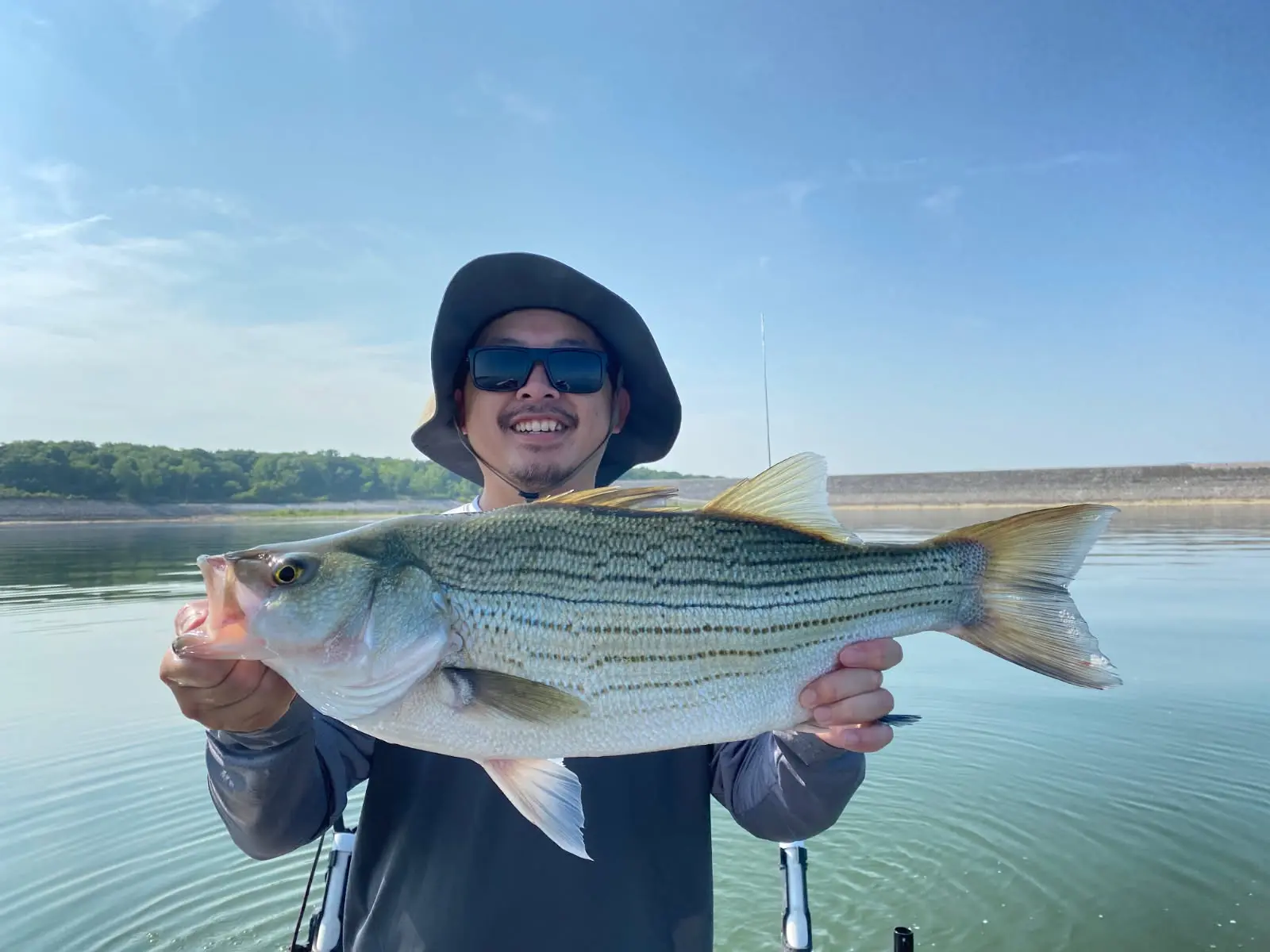 EARLY MORNING HYBRID STRIPED BASS