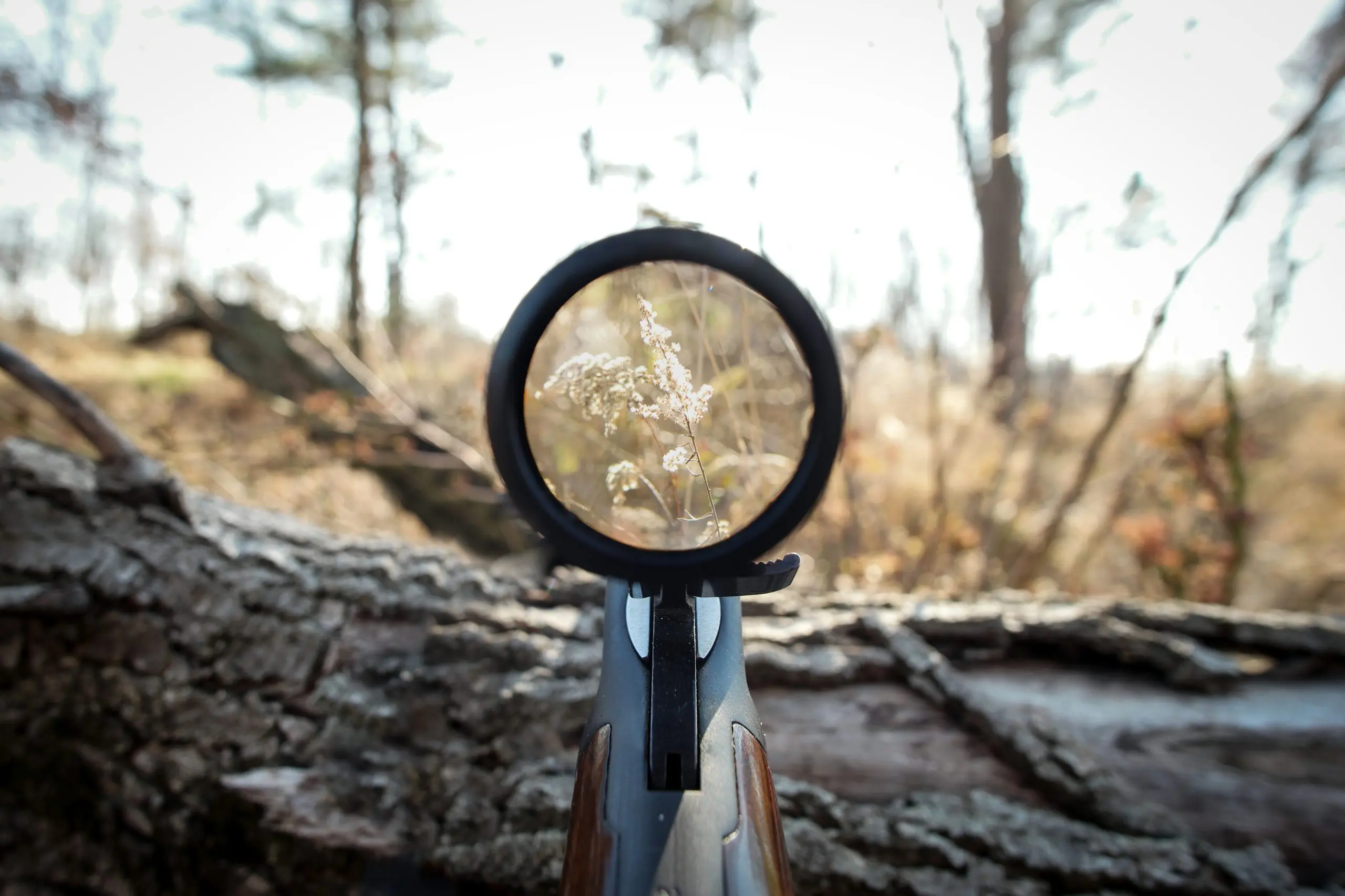 hunting optics, scopes for hunting, iowa deer scopes, budget scopes, best scope