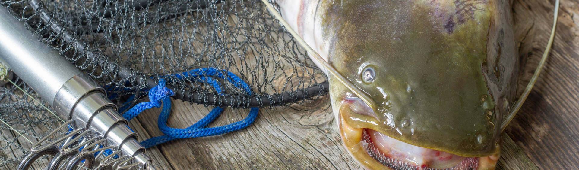 ditty pole fishing for flathead