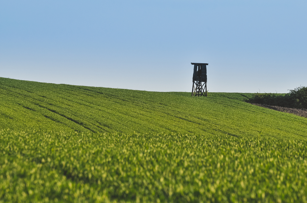 hunt plots for deer hunting