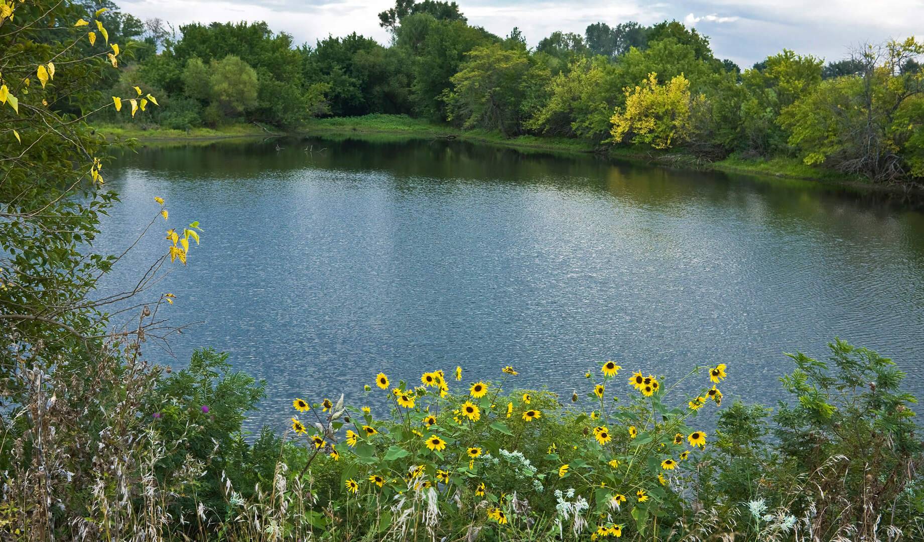 The Role of Private Hatcheries when Restocking Ponds