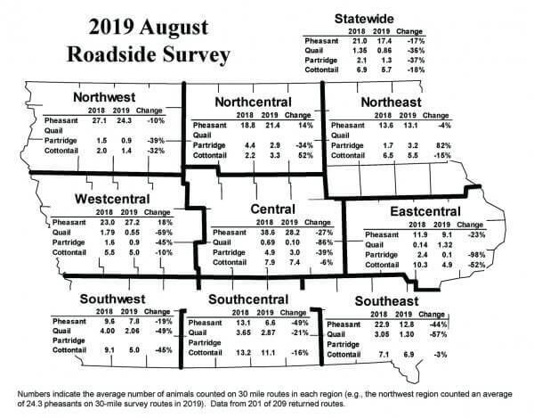 2019 Roadside Survey