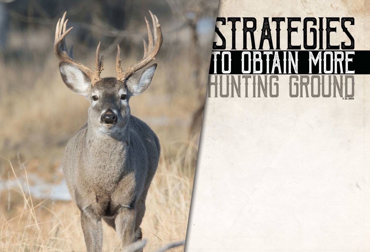 Strategies to Obtain more Hunting Ground