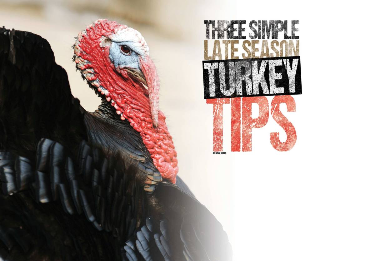 Three Late Season Turkey Hunting Tips