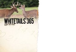 Adding Sweeteners to Food Plots
