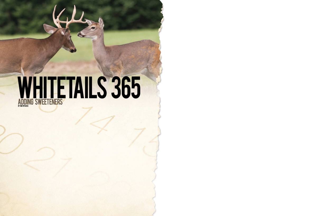Adding Sweeteners to Food Plots