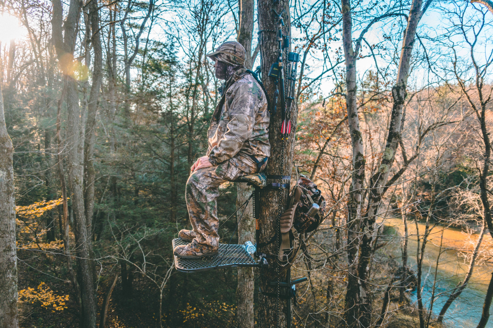 The Treestand Dilemma