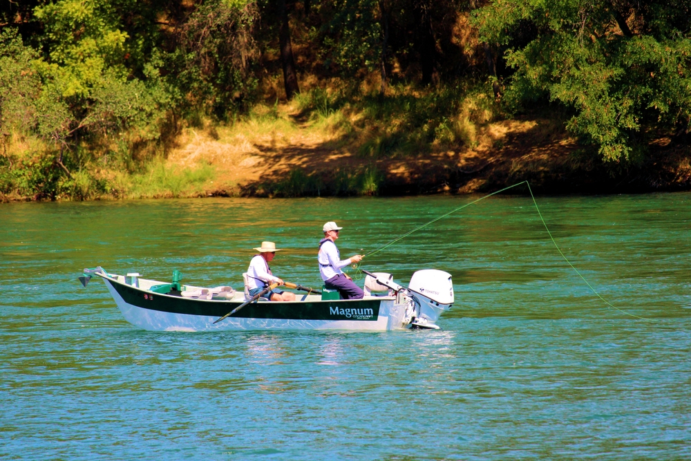 Lures for multi-species angling