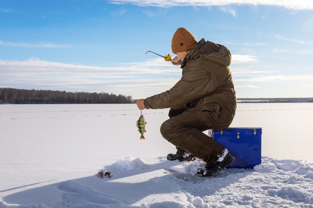Ice Fishing Yellow Bass