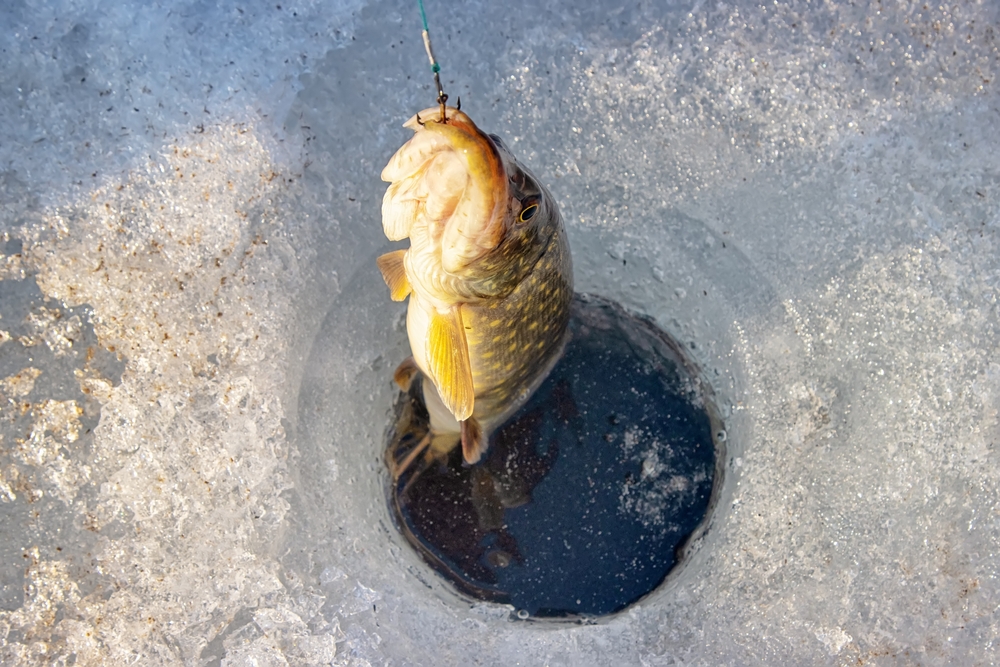 ice fishing speed fishing technique