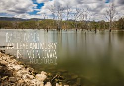 Improving Walleye and Musky Fishing in Iowa Project Update