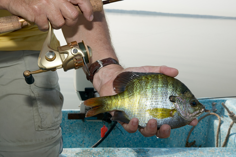 Fishing Locations in Iowa