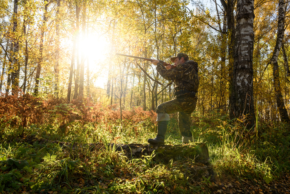 Early season whitetail hunting