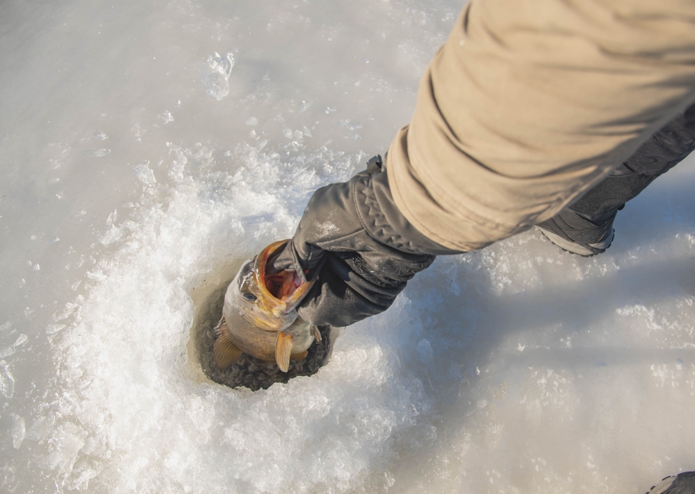Ice Fishing Tactics